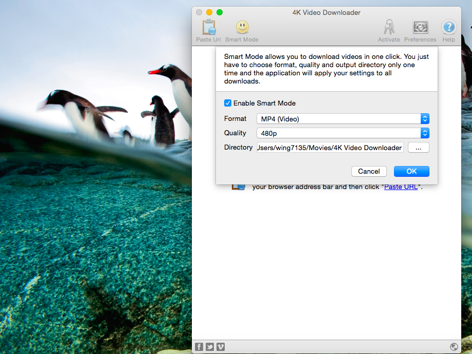 4k-video-downloader-in-youtube_02