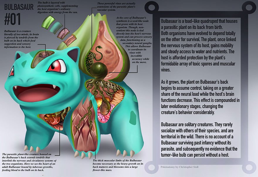 pokemon-anatomy-pokenatomy-christopher-stoll-1