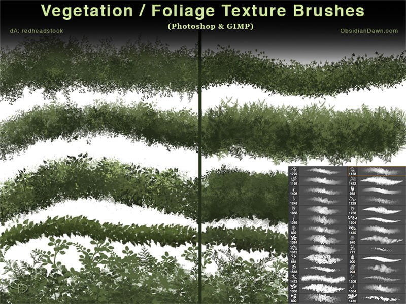 vegetation___foliage_textures_photoshop_brushes_by_redheadstock-d8u4o09