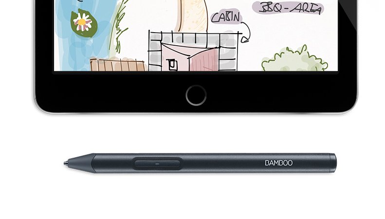 bamboo sketch m