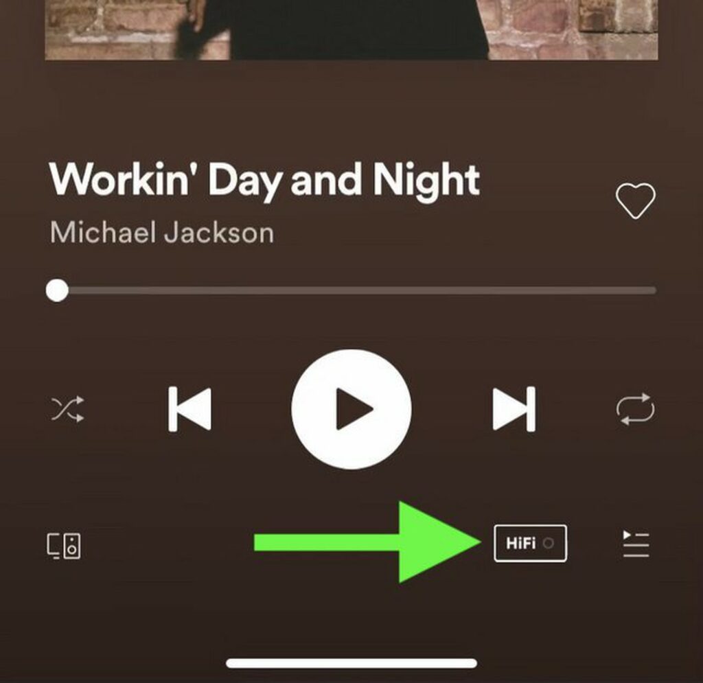 spotify hifi icon