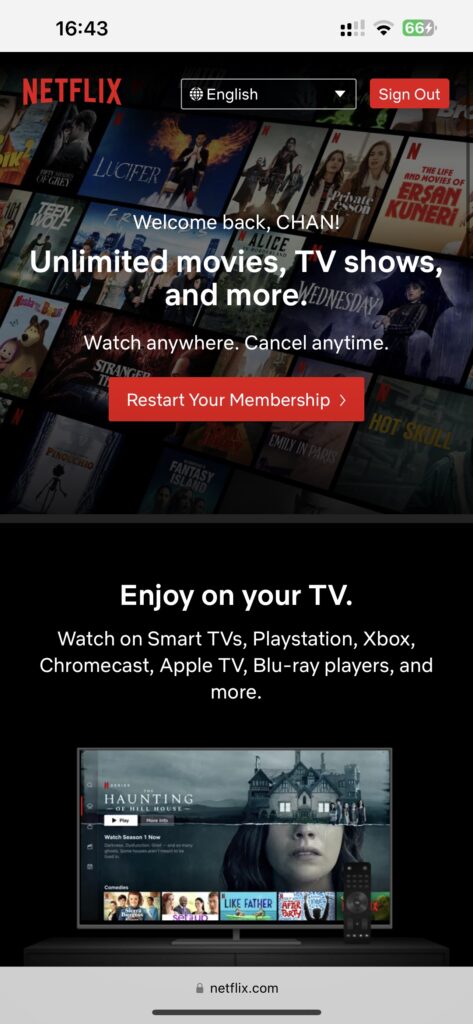 netflix setup04