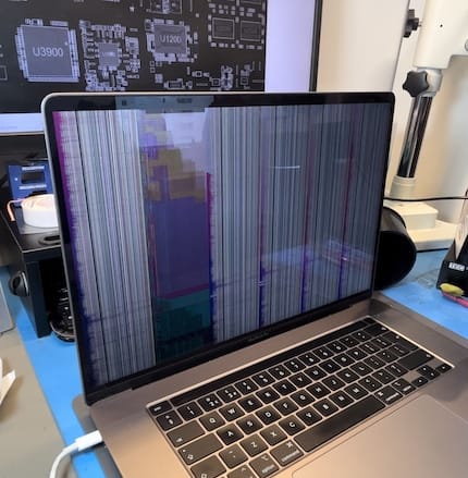 purple mbp