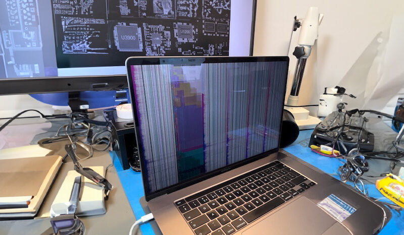 purple mbp2