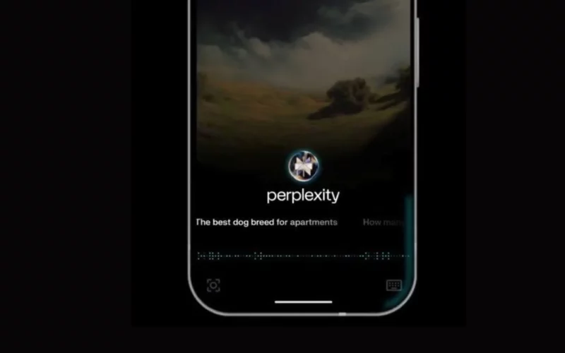 screenshot 1106