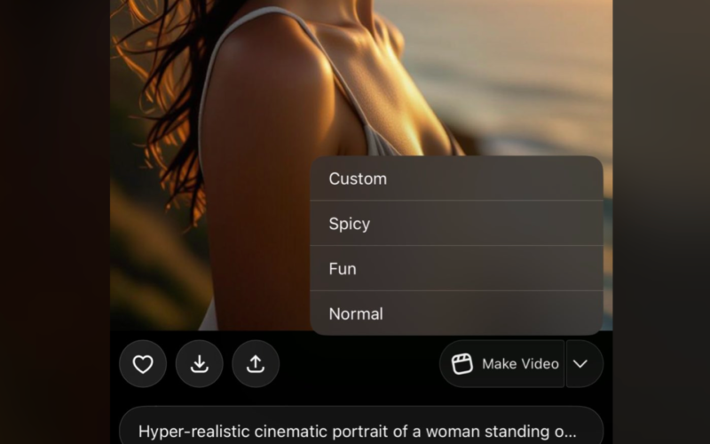 Xai grok imagine spicy