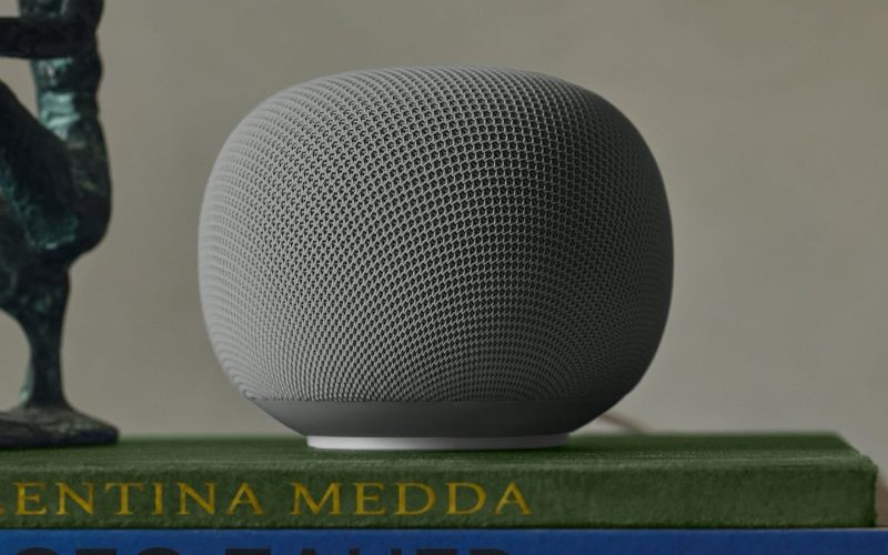google smart speaker