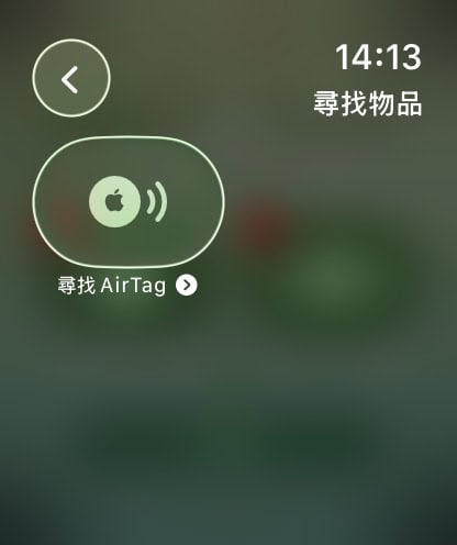 S 137396238