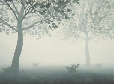 ss 0d46cc8da5f9eb434f3219e52d1a756e2e5c2938.1920x1080