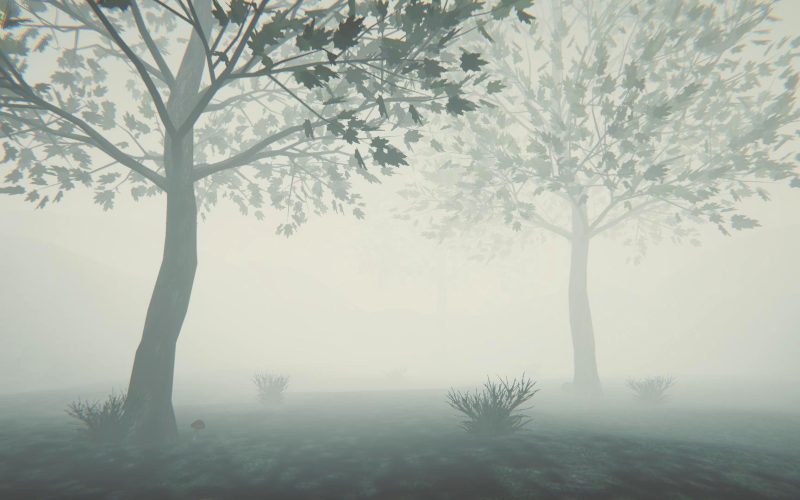 ss 0d46cc8da5f9eb434f3219e52d1a756e2e5c2938.1920x1080